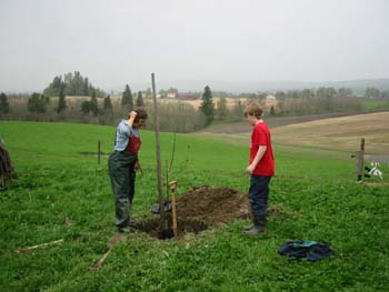 5.Linda,epletre mot syd