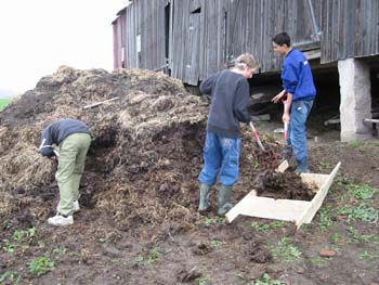møkk,bærebåre,rot